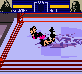 WCW Mayhem Screenshot 1